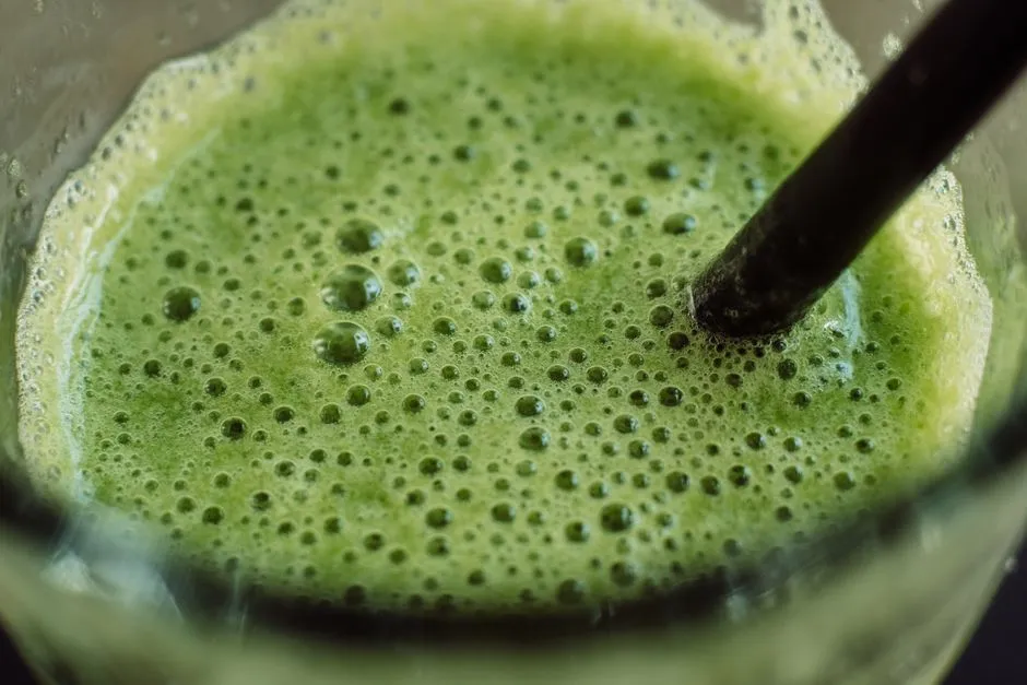 How to Clean a Juicer Before Pulp Turns to Cement